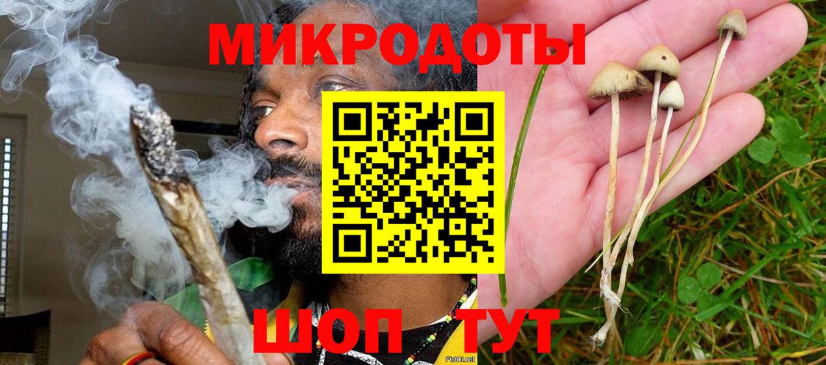 Галлюциногенные грибы прущие грибы  Вход с VPN  Орёл 